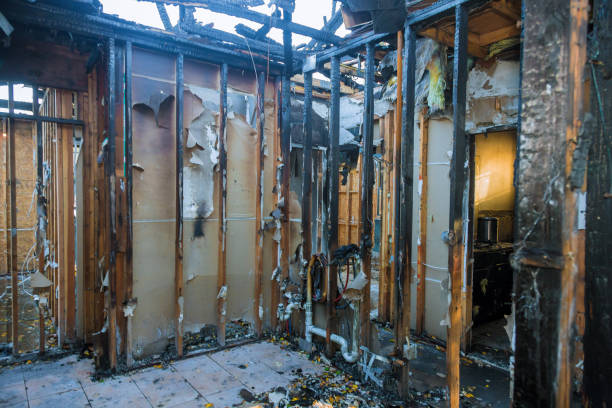 Professional Soot Cleanup technician working in Glyndon, MN
